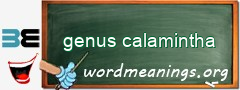 WordMeaning blackboard for genus calamintha
